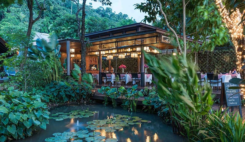 DI MARE OVER LOTUS POND